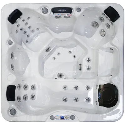 Avalon EC-849L hot tubs for sale in Hartford